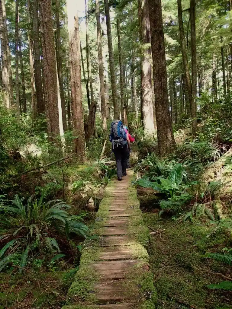 Hiking on boardwalk on the Wild Side Trail near Tofino, BC