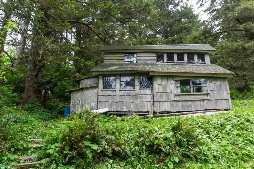 The old cabin on the Wild Side Trail near Tofino, BC