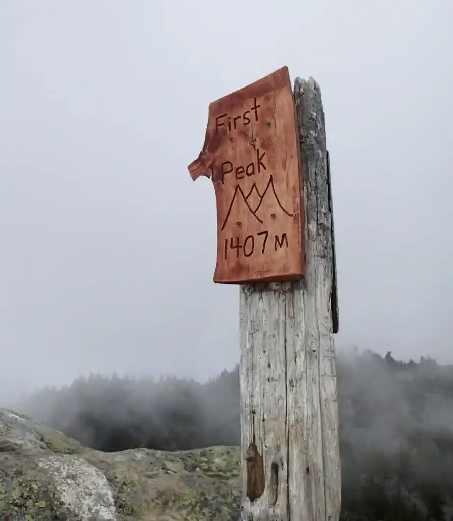 First Peak, Mount Seymour is a good alternative to the Grouse Grind.