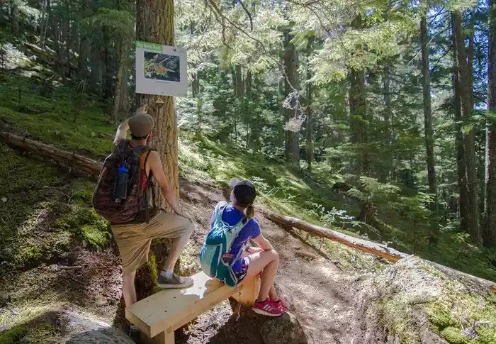Blackcomb Burn trail in Whistler