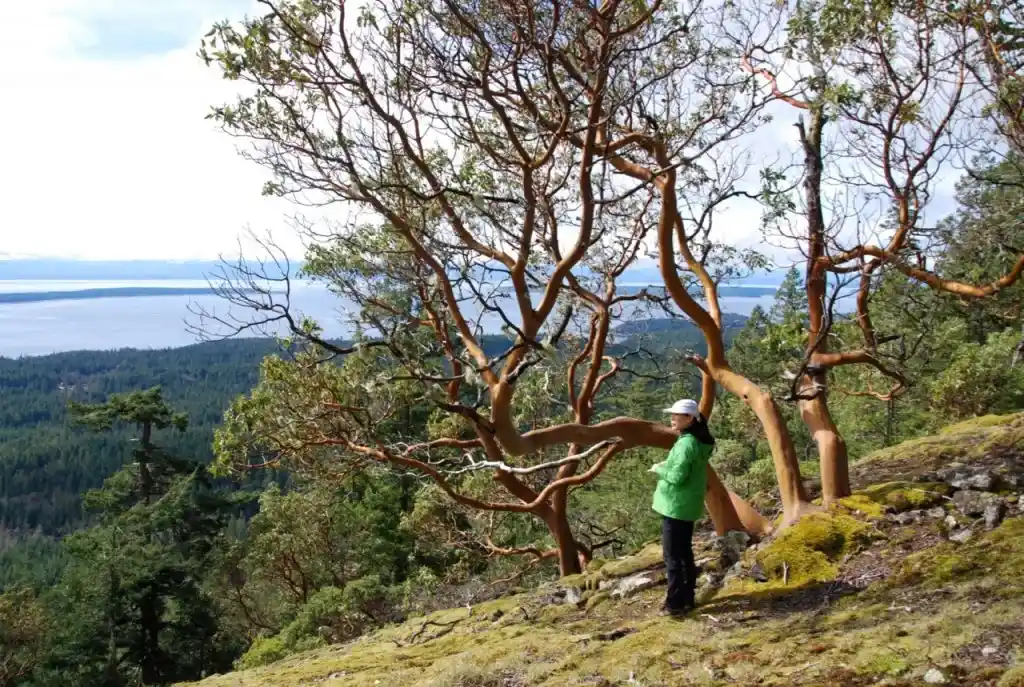 Backpacking the Sunshine Coast Trail - Manzanita Bluff