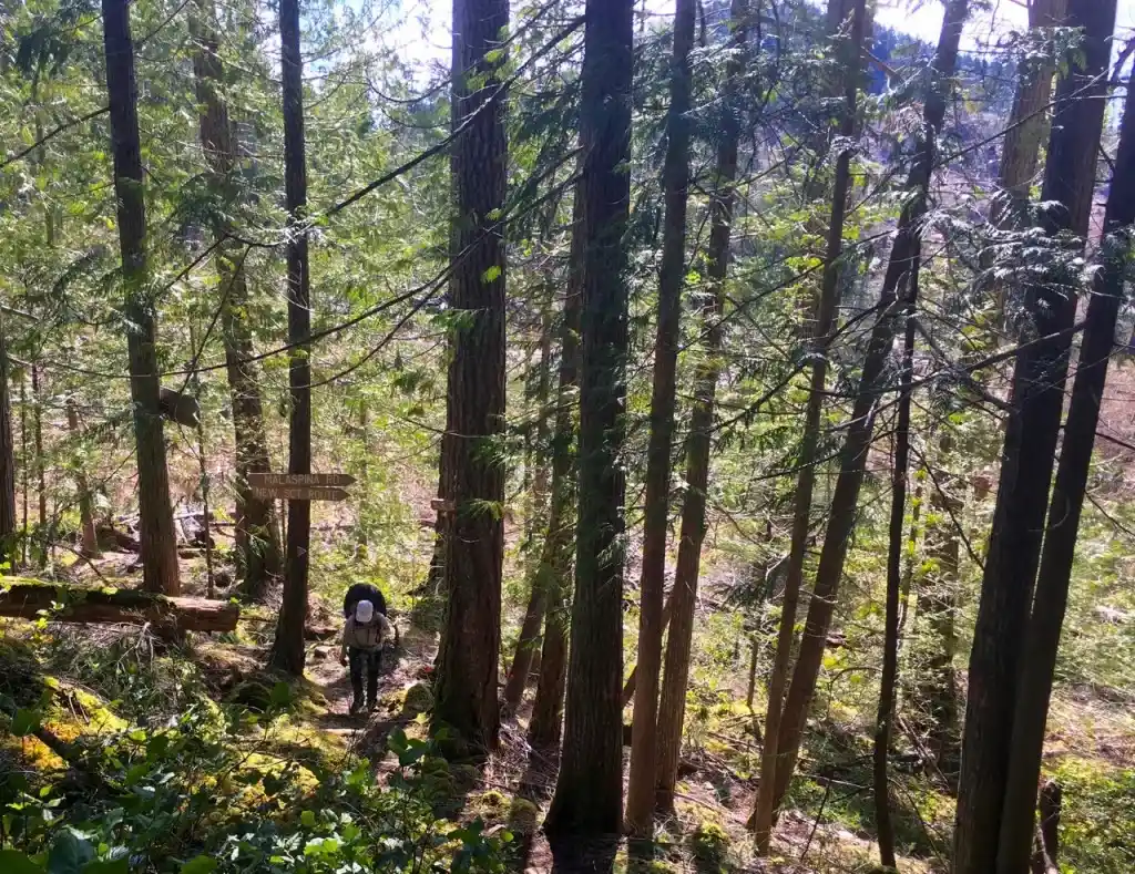 Backpacking the Sunshine Coast Trail