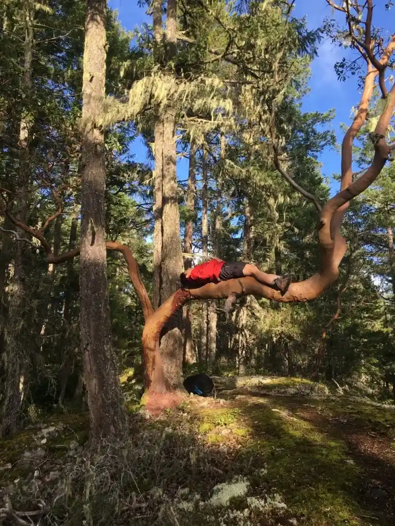 Backpacking the Sunshine Coast Trail