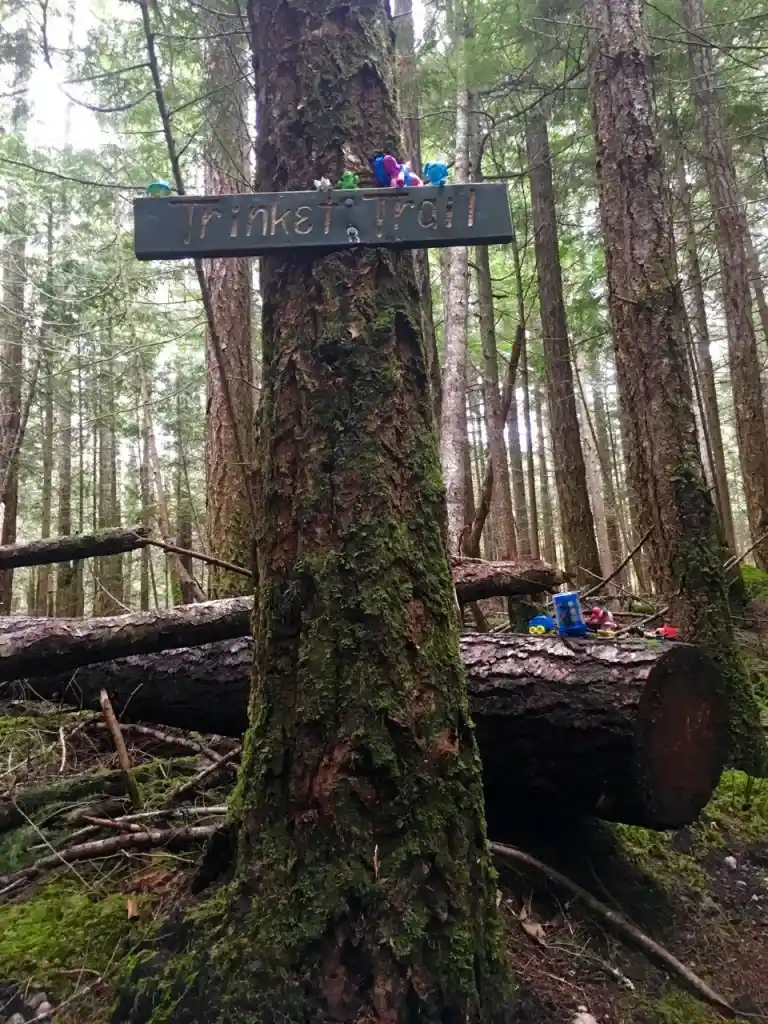 Backpacking the Sunshine Coast Trail - Trinket Trail