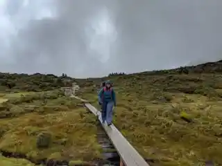 A hiker walks along a boardwalk on the Overland Track in Tasmania. It is raining and she wears a rain jacket and rain pants. Why do rain jackets wet out?