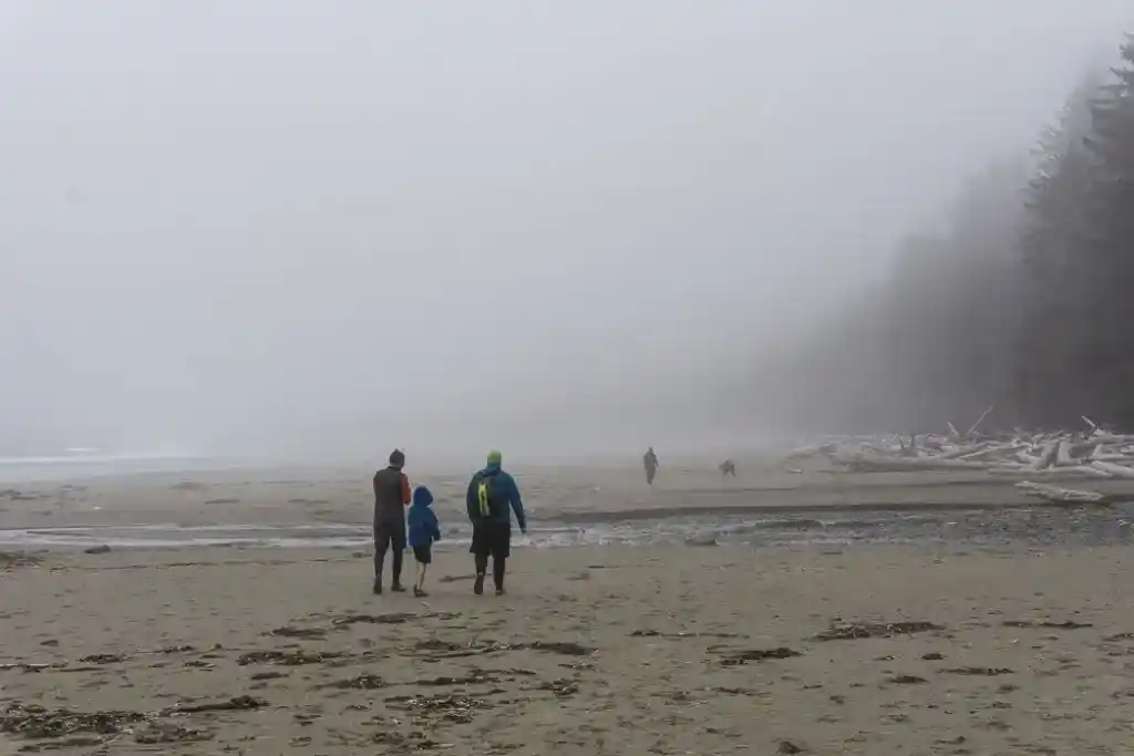 Willoughby Creek on Shi Shi Beach. A complete guide to hiking and camping at Shi Shi Beach.