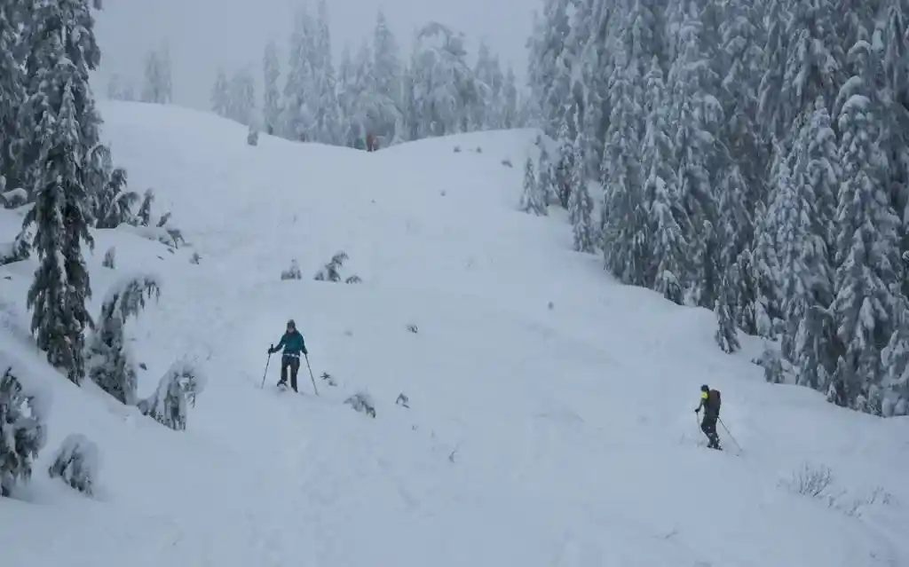 Snowshoeing at Hollyburn Mountain near Vancouver, BC. The Ultimate Guide to Snowshoeing in Vancouver.