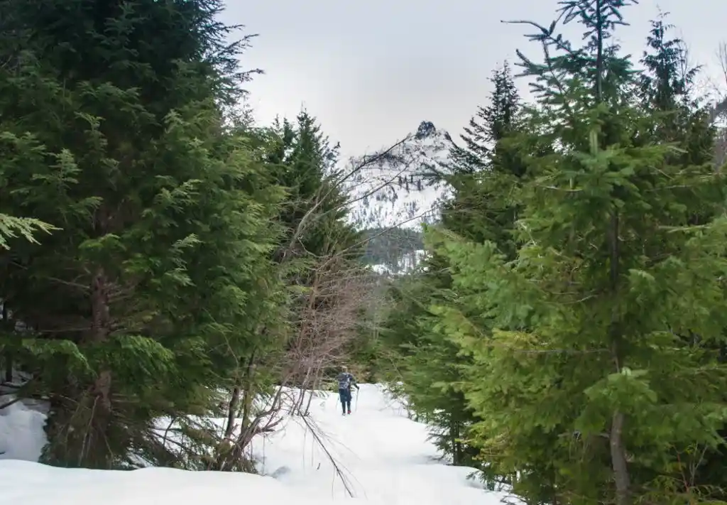 Snowshoeing on the Sky Pilot Valley Trail at the Sea to Sky Gondola in Squamish, BC. The Ultimate Guide to Snowshoeing in Squamish.