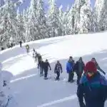 Snowshoeing at Manning Park