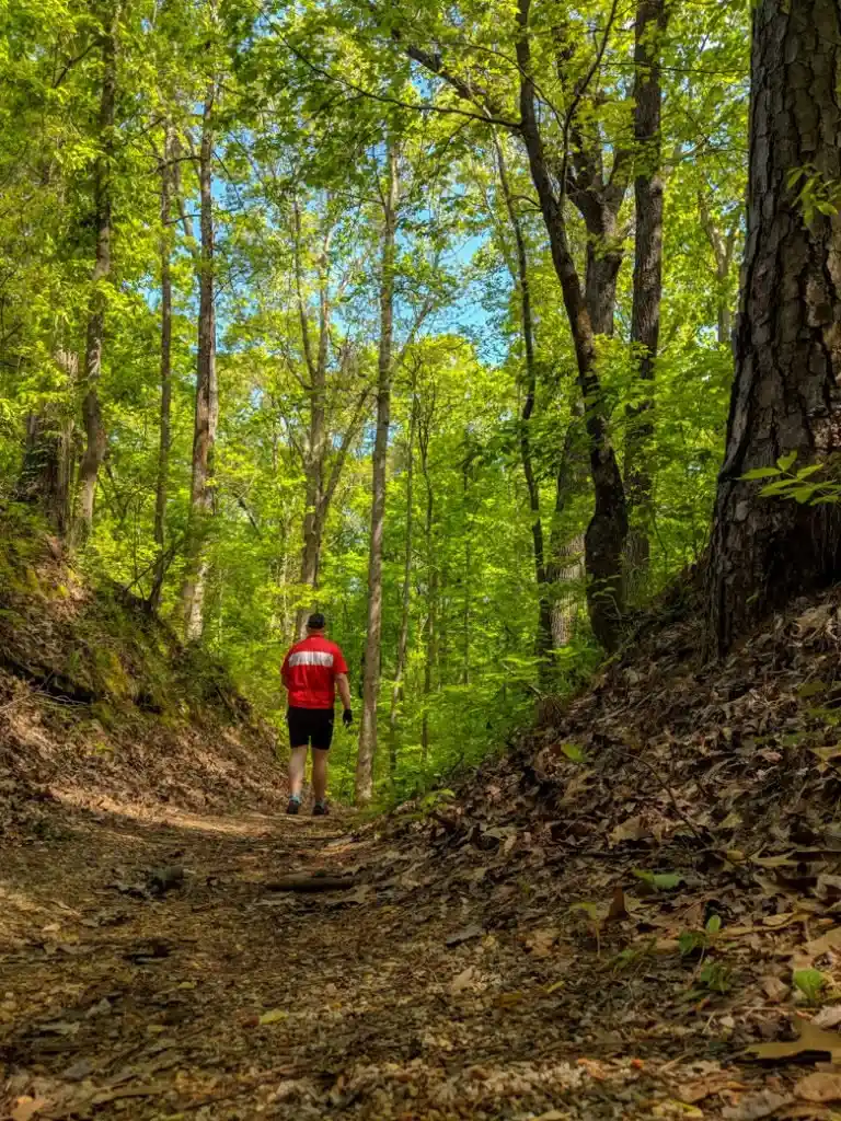 Walking a section of the historical old Natchez Trace. Learn how to cycle tour the Natchez Trace Parkway in this detailed guide.