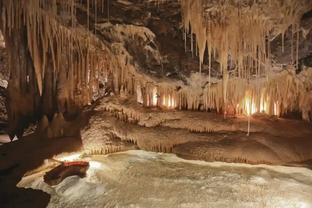 Mole Creek Caves in North West Tasmania. 
