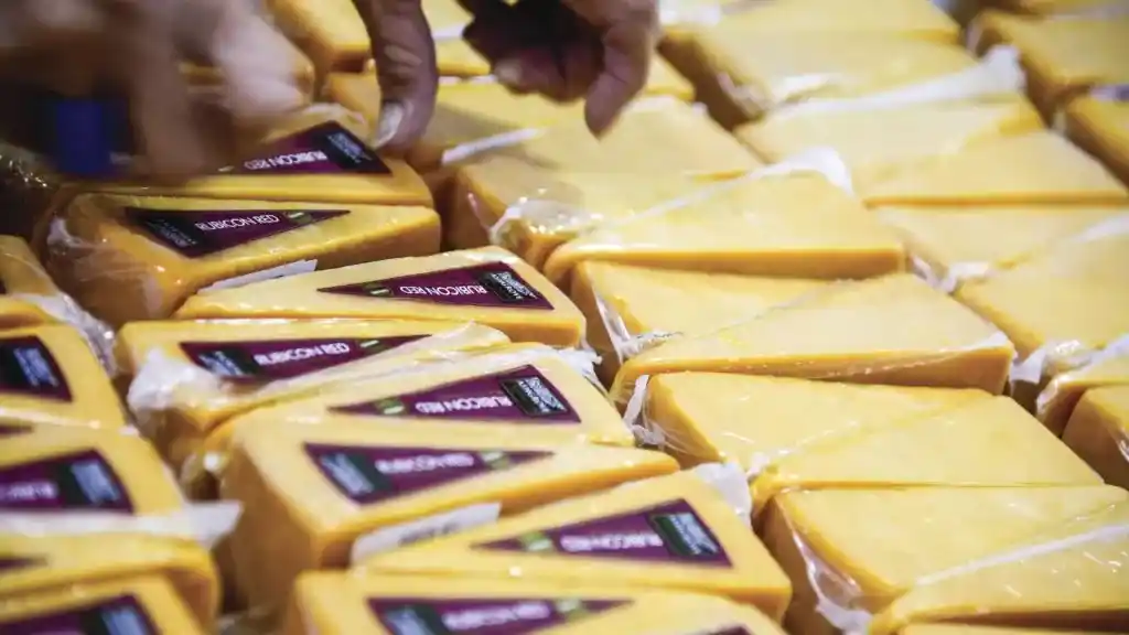 Ashgrove Cheese near Devonport, Tasmania. 