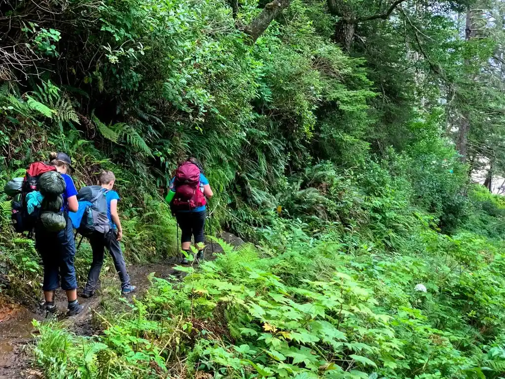 Hikers walking through the forest near Michigan Creek on the West Coast Trail