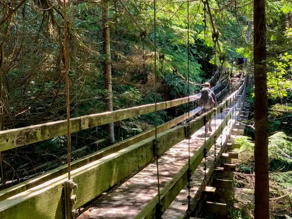 A hiker crosses the Billy Goat Creek suspension bridge on the West Coast Trail