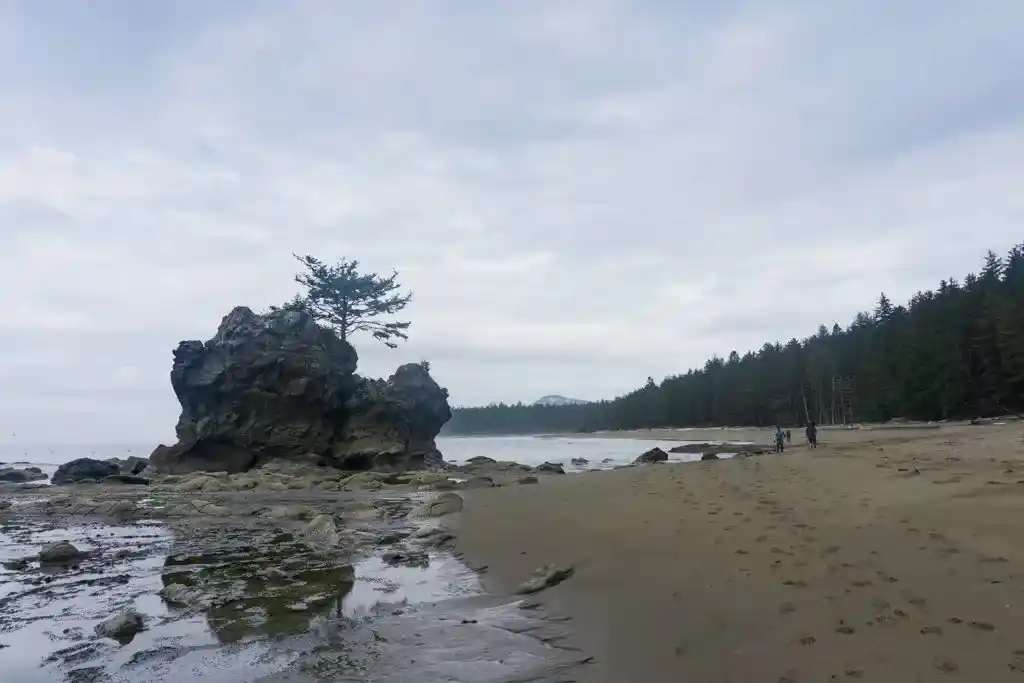 Hikers walk past a sea stack on the West Coast Trail