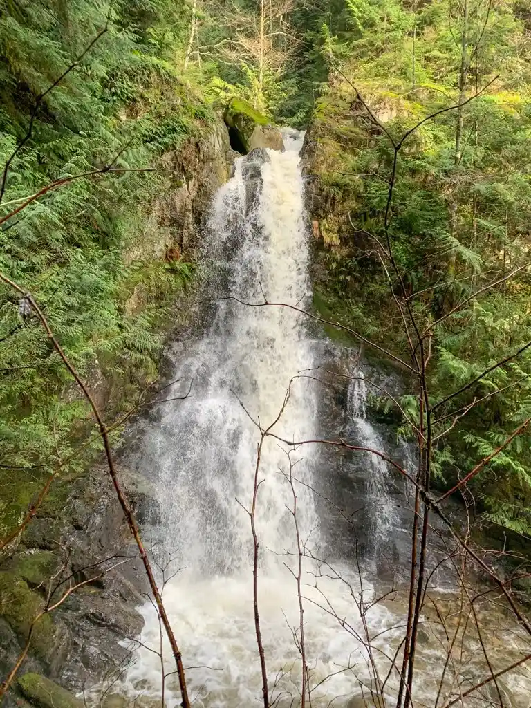 View of Langdale Falls from the base of the falls