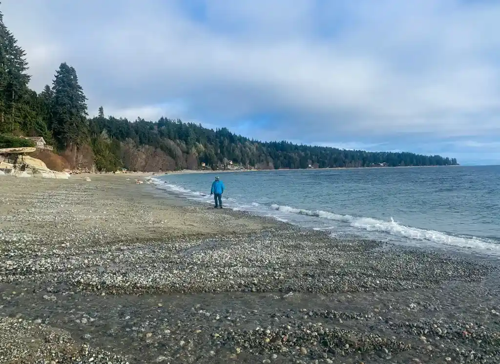 A man walks along Bonniebrook Beach in Gibsons on the Sunshine Coast BC