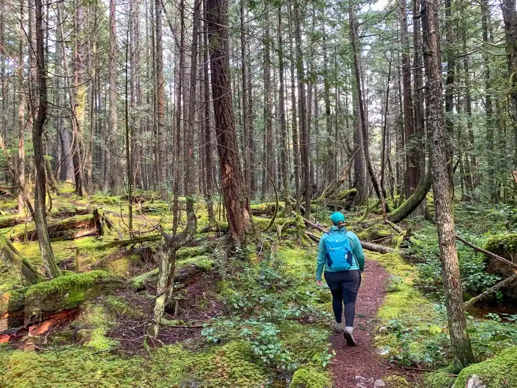 The trail to Triangle Lake near Halfmoon Bay on the Sunshine Coast, BC