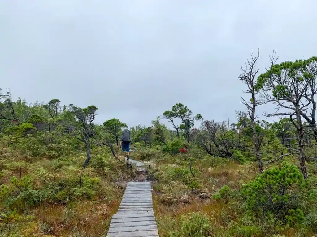 Boardwalk near Laughing Loon Lake