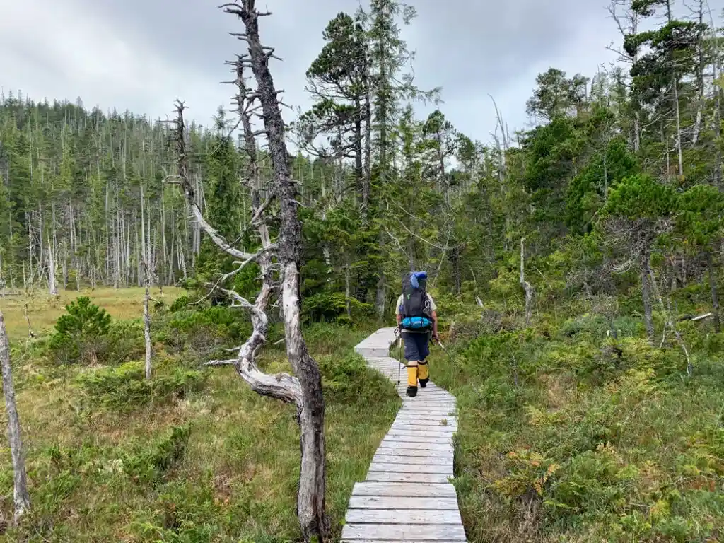 Hiker on a boardwalk on the North Coast Trail