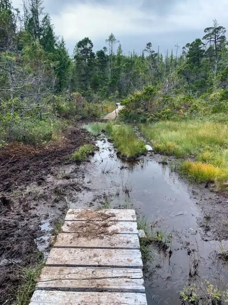 Mud on the North Coast Trail