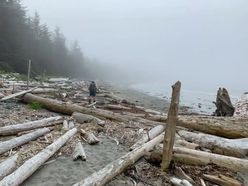 Hiking near Shuttleworth Bight on the North Coast Trail