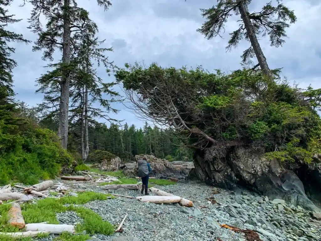 Pocket cove on the North Coast Trail