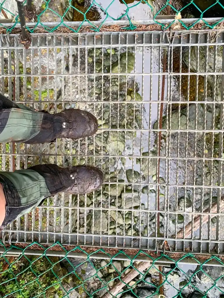 Minute Creek Suspension Bridge