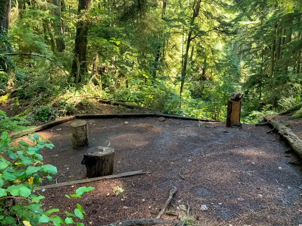 A tent pad at Payzant Creek Camp