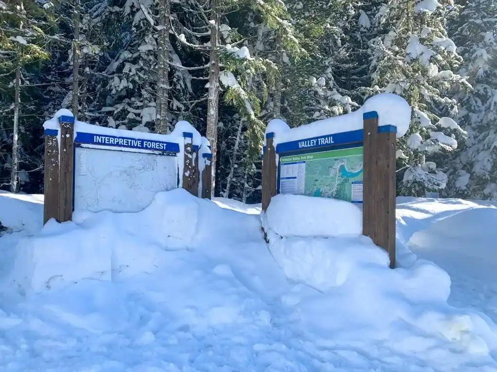 Info boards and signs at the Cheakaus River snowshoe trail