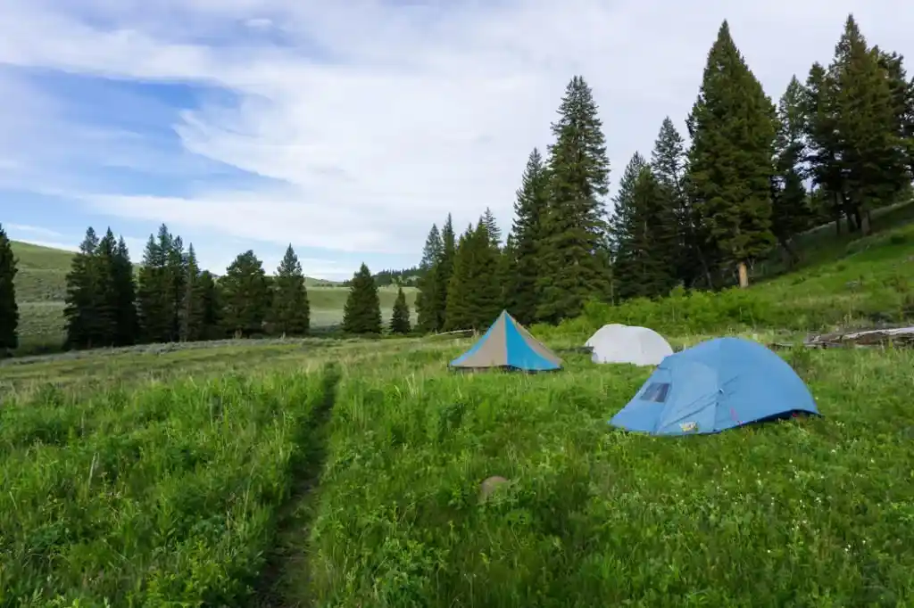 Tents at a backcountry campground.