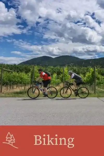 Biking category button