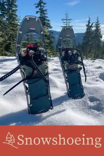 Snowshoeing category button