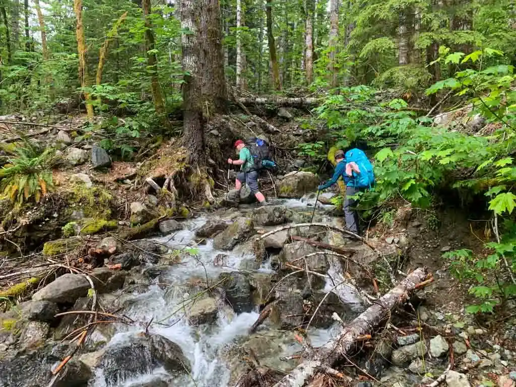Hikers walk across a creek on the Della Falls Trail