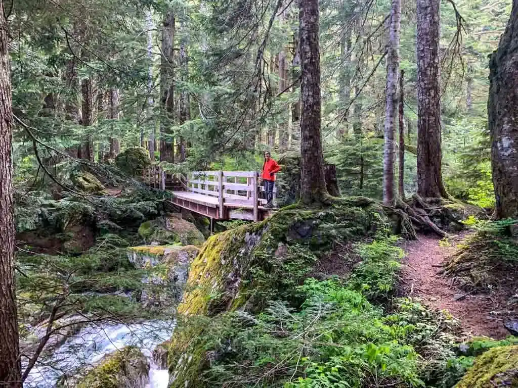 A hiker crosses the bridge near Saw Blades Camp
