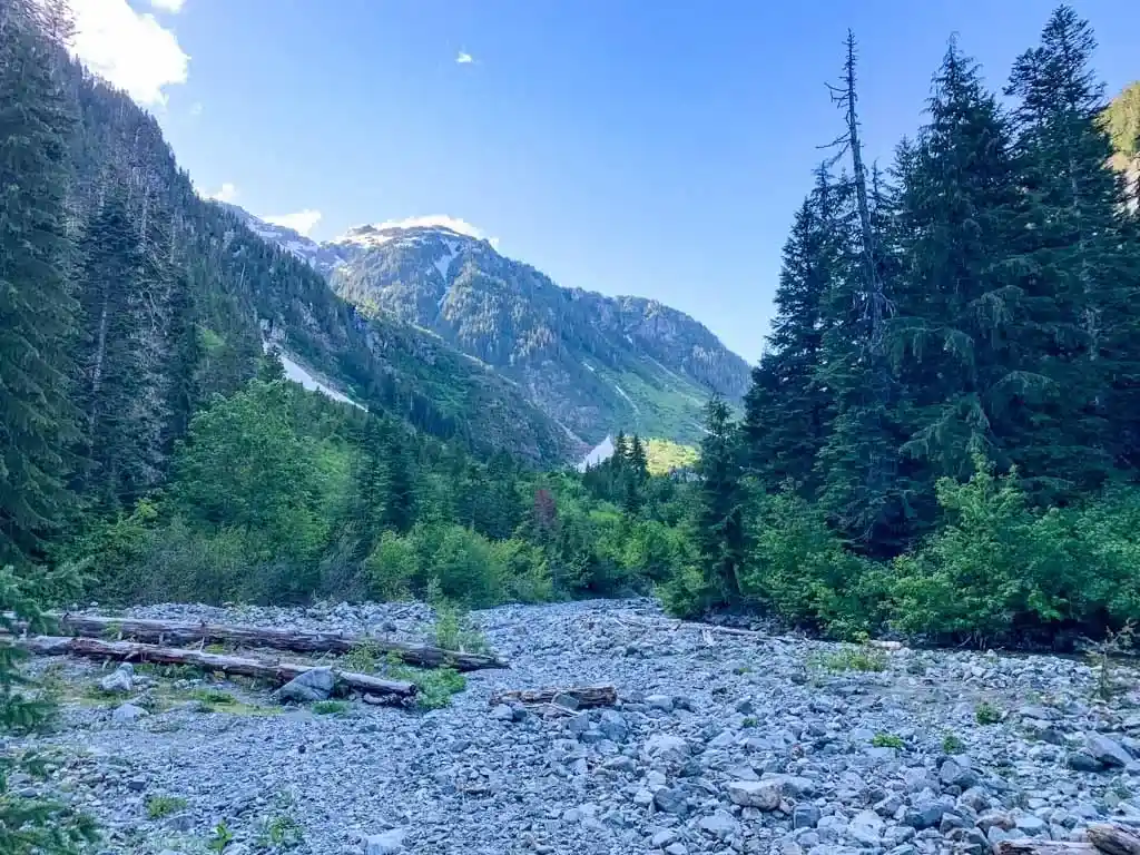 Gravel flats in the upper Drinkwater Creek valley