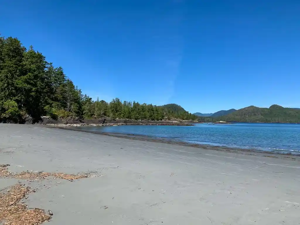 The sandy beach at Rugged Point Marine Provincial Park