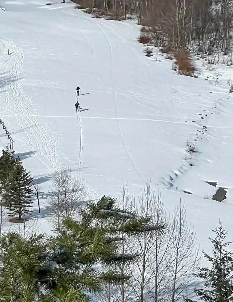 Cross country skiers in Whistler near Green lake