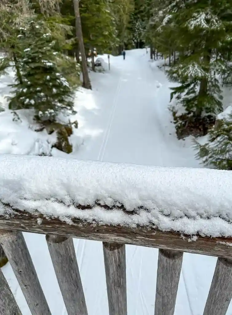 Ski trail beneath a bridge in Lost Lake Park in Whistler
