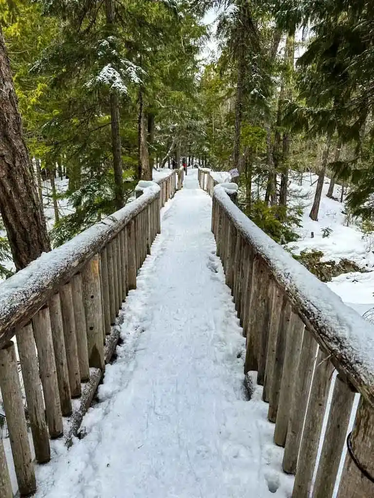 Looking across a bridge in Lost Lake Park