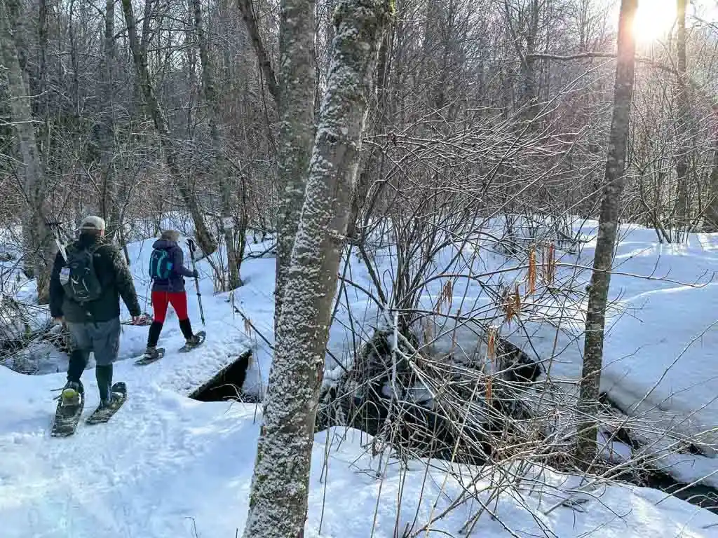 Snowshoes on the Red Trail on the Lost Lake Snowshoe Trails