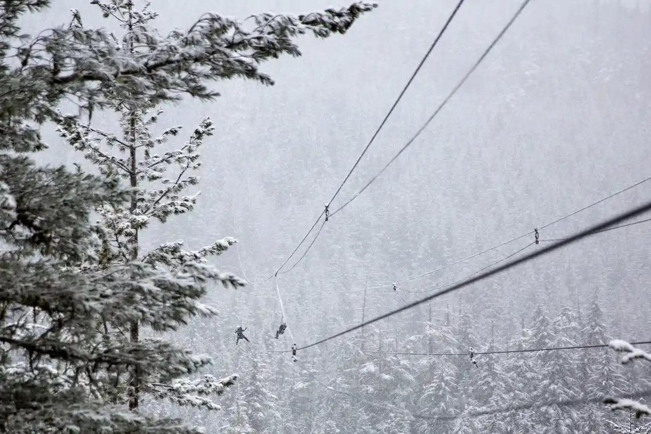Ziplining in winter in Whistler. A great activity for non-skiers.