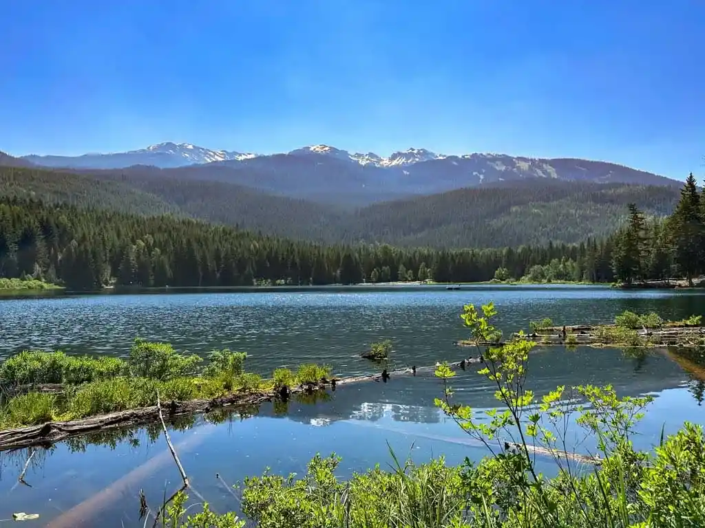 The shoreline of Lost Lake