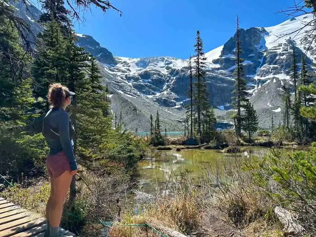 A hiker looks at mountains with a marsh in the background