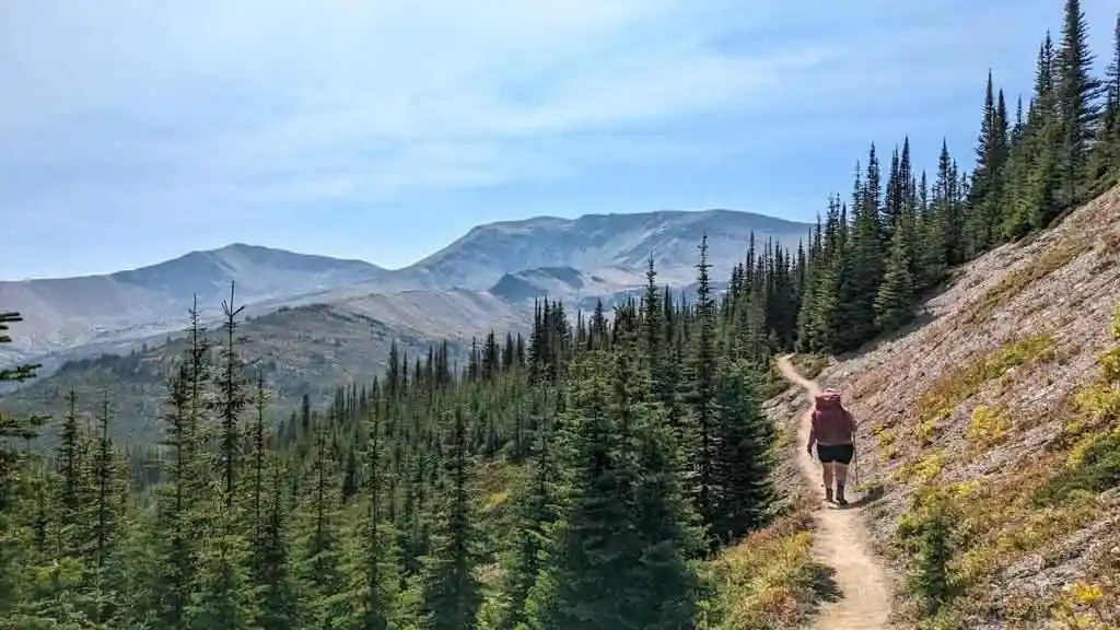 A hiker on the Skyline Trail near Little Shovel Pass