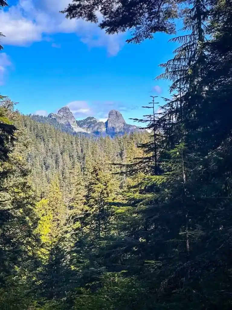 View of the Lions Mountains from a gap in the trees on the Howe Sound Crest Trail near Vancouver