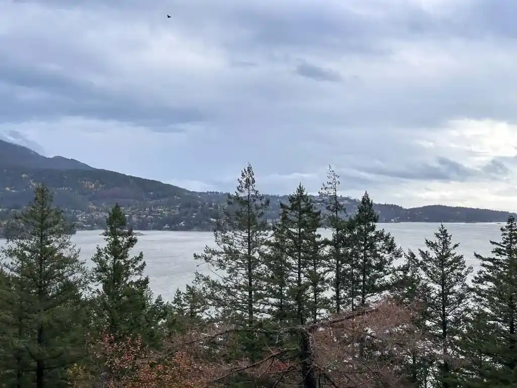 View from Dorman Point