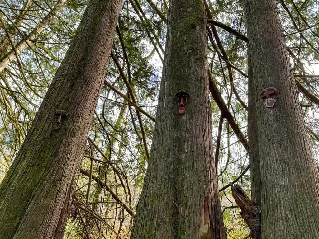 Three trees, each with a mask mounted on them, on the Spirit Trail