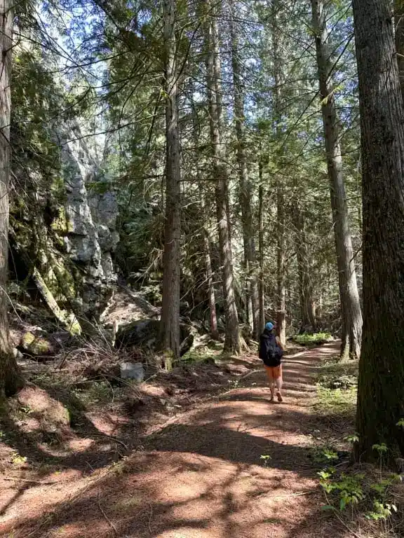 A hiker walks through cedar forest on the Sea to Sky Trail