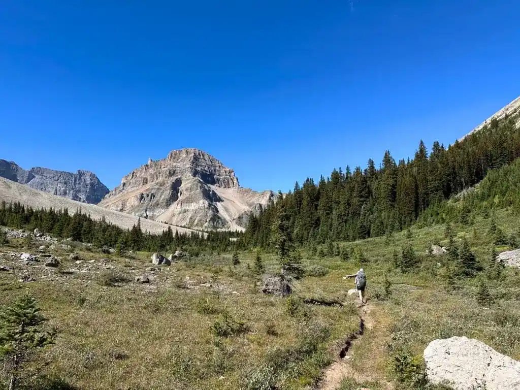 Jones Pass in Banff National Park